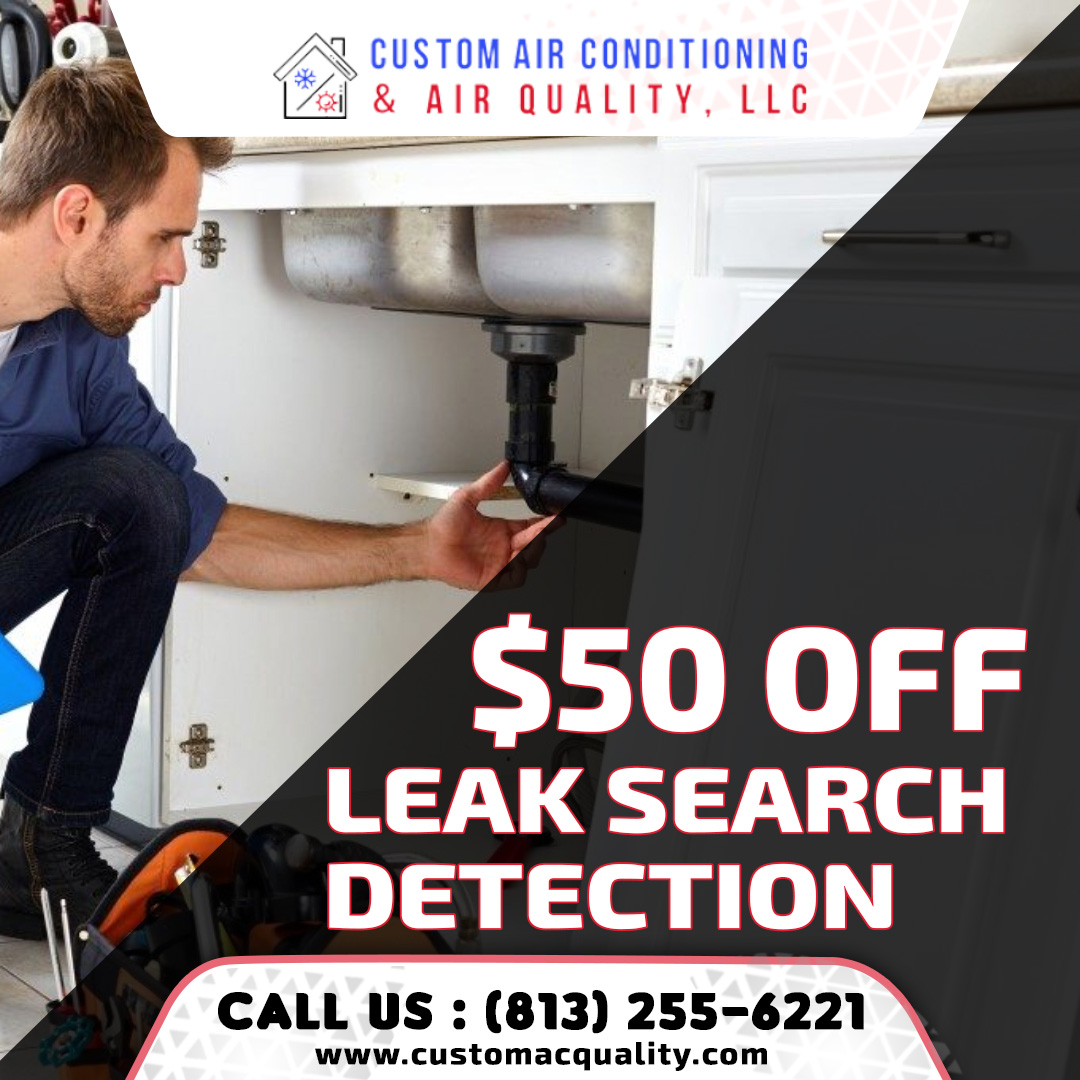 leak search detection
